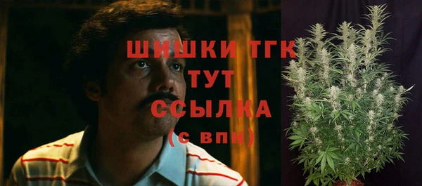 СК Алексин