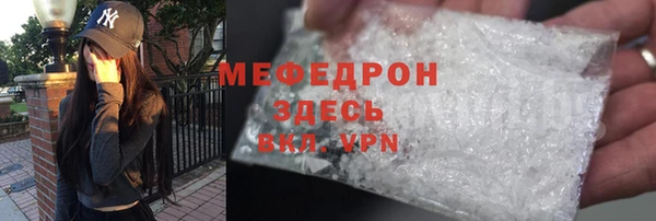 СК Алексин