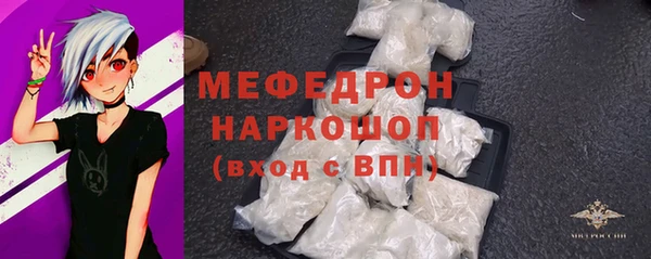 СК Алексин