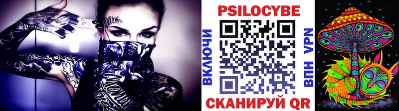 как найти закладки  Порхов  shop формула  Псилоцибиновые грибы Cubensis 